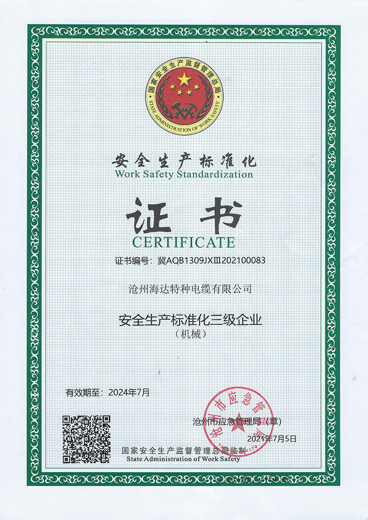 安全生产标准证书